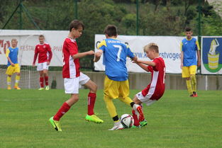 塞尔维亚实力不断提升，期待在国际大赛中突破